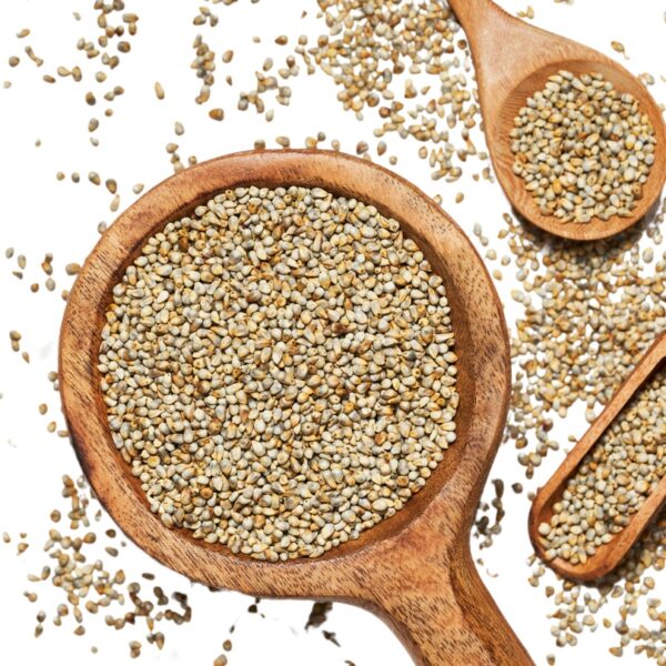 Organic Sava Millet by Vipasha Farm 500 Grm
